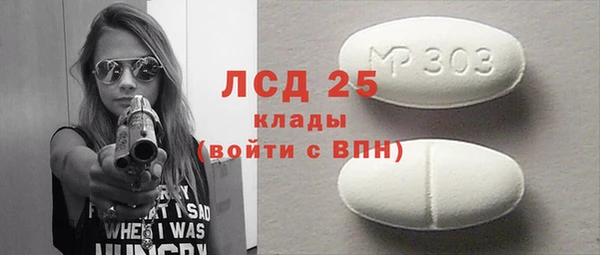 прущие грибы Майский