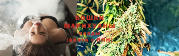 прущие грибы Майский