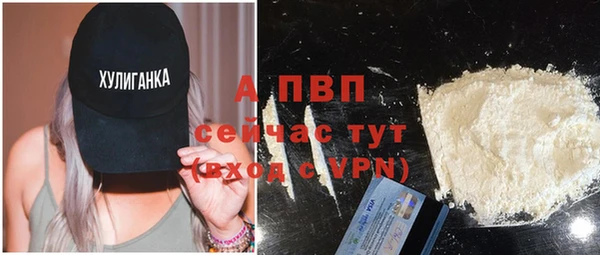 прущие грибы Майский