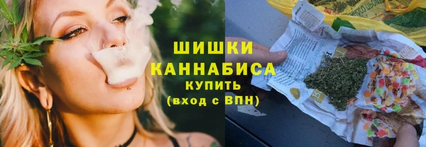 прущие грибы Майский